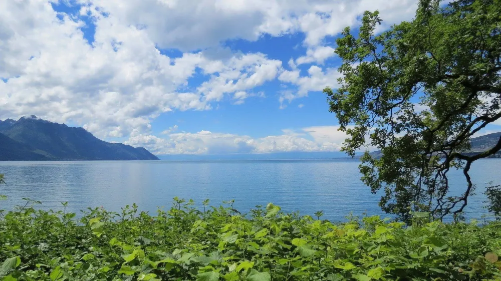 Lac